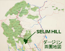ダージリン セリンヒル茶園 地図